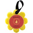 Spongelle Body-wash infused buffers