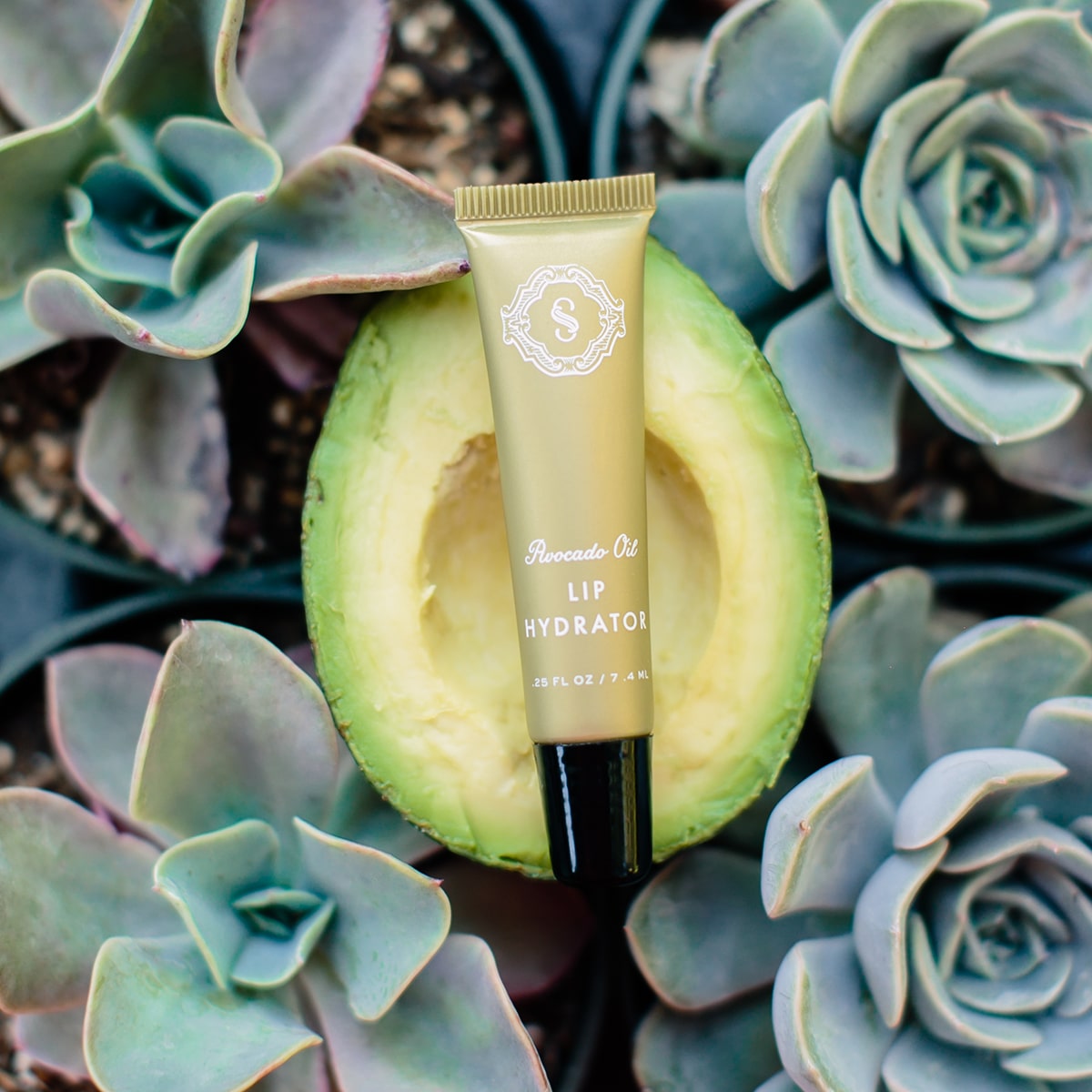 Sorella Apothecary Avocado Oil Lip Hydrator